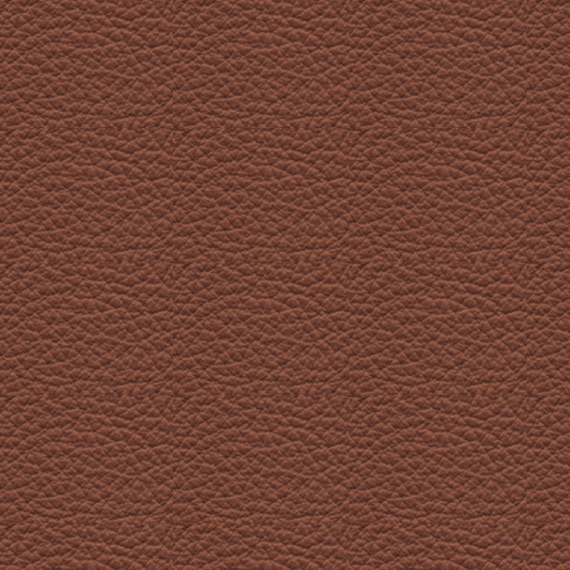 CS0004