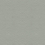 CS0007