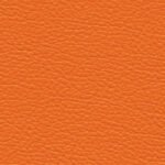 CS0009