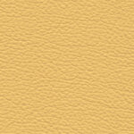 CS0011