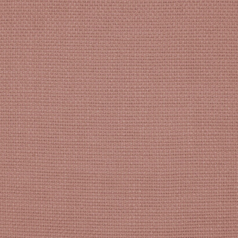 STI901 rose
